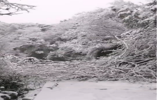 战暴雪、保供电！华体会官方端网站登录入口-华体会(中国)鸟儿巢公司应对极端天气紧急抢修失电故障